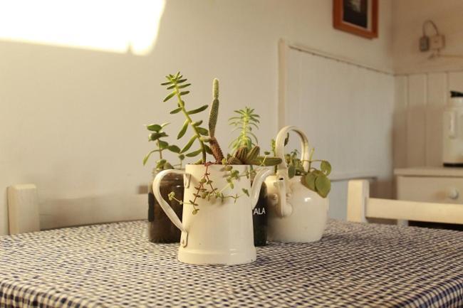 سان أنطونيو دي أريكو Alma De Proa Bed & Breakfast المظهر الخارجي الصورة