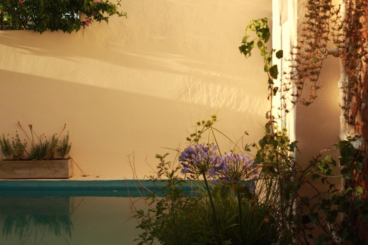 سان أنطونيو دي أريكو Alma De Proa Bed & Breakfast المظهر الخارجي الصورة